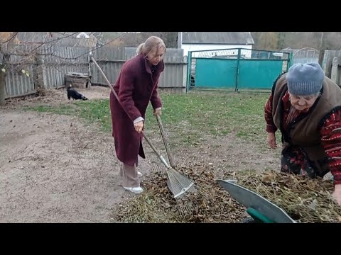 Видео: Все приехали бабуси помогать ,загребли листья ,убирали двор.