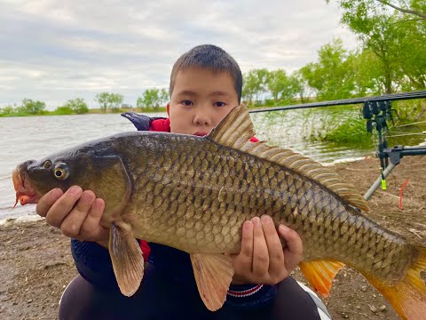 Видео: /Жор Сазана на озере Кайнар/Летний Карпфишинг/