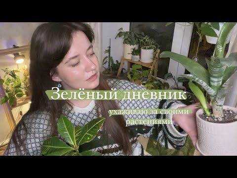 Видео: Зелёный дневник || перестановка в комнате, полив растений