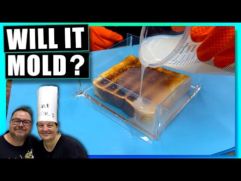 Видео: Можно ли отлить кусок тоста из силикона? — Будет ли он формоваться? Эпизод 10