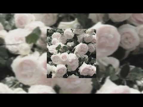 Видео: ♡Всё для тебя ~ Стас Михайлов [speed up] ♡