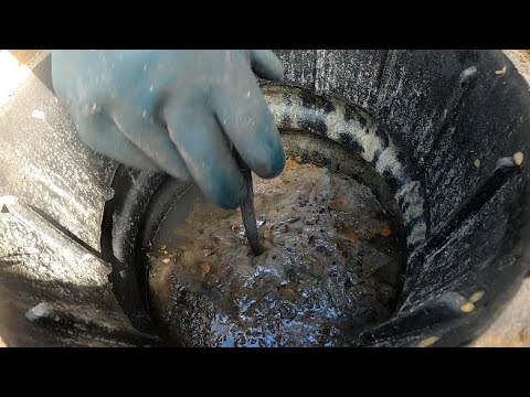 Видео: Kempinger 378. Когда жироотделитель не переполняется из-за жира. Потом из-за....