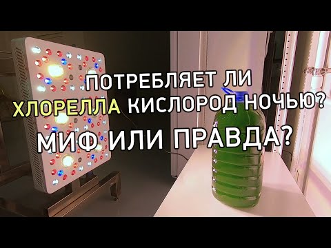 Видео: Потребляет ли хлорелла кислород ночью?Миф или правда? #технологияальготек #хлореллаальготек