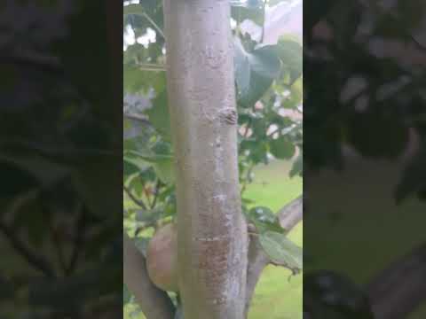 Видео: 4 сентября!Туман !