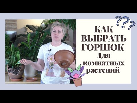 Видео: ВЫБИРАЕМ ПРАВИЛЬНЫЙ ГОРШОК ДЛЯ ДОМАШНИХ ЦВЕТОВ, ЭТО ВАЖНО!