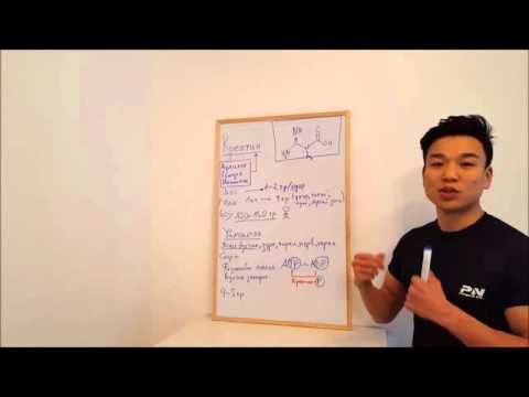 Видео: Креатин гэж юу вэ?