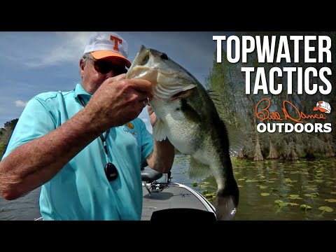 Видео: Тактика Topwater | Билл Дэнс на открытом воздухе
