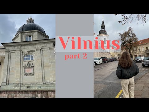 Видео: VLOG/SHOPPING VLOG: Вильнюс (Литва) 2 часть, обзор ZARA с примеркой, озеро с лебедями