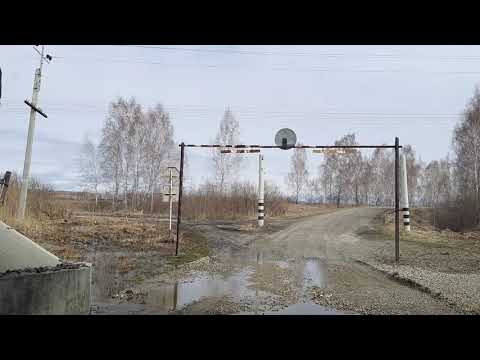 Видео: Деревня Замараевское  Шадринский район, Курганская область.