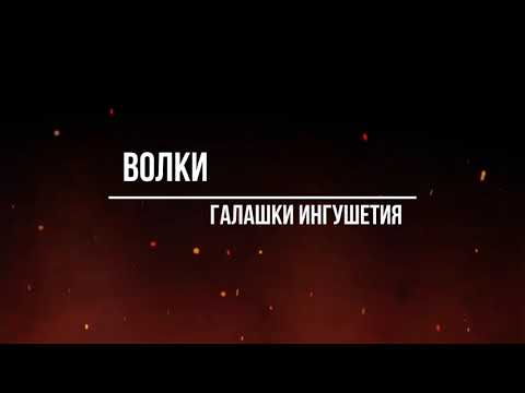 Видео: Охота на волка Ингушетия Галашки Волки напали...