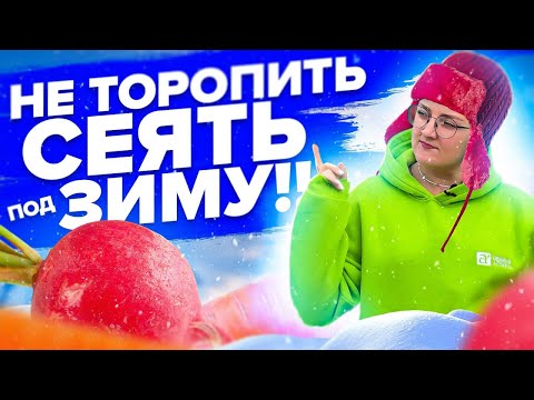 Видео: ПОСЕЙТЕ ЭТО СЕЙЧАС, ЧТОБЫ БЫТЬ С УРОЖАЕМ ВЕСНОЙ!