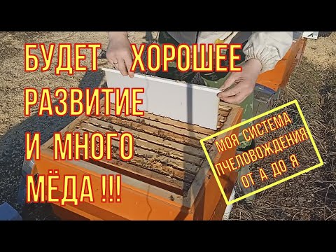 Видео: Делайте так,если хотите много мёда и хорошего весеннего развития. Моя система пчеловождения.