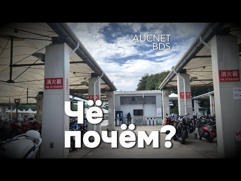 Видео: Чё почем? Мотоциклы с аукциона Японии
