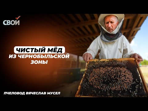 Видео: Лукашенко оценил мёд из чернобыльской зоны! | Что увидел Президент и почему с ним шутки плохи