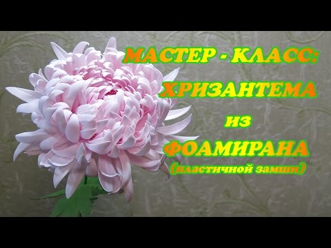 Видео: Мастер-класс хризантема из фоамирана (пластичной замши)