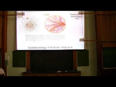 Видео: Математическое моделирование в биологии