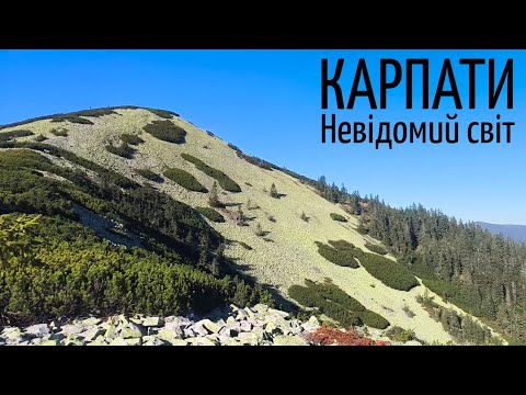 Видео: Карпатський лабіринт . Дорога, яку НЕ ЗНАЙТИ на карті .