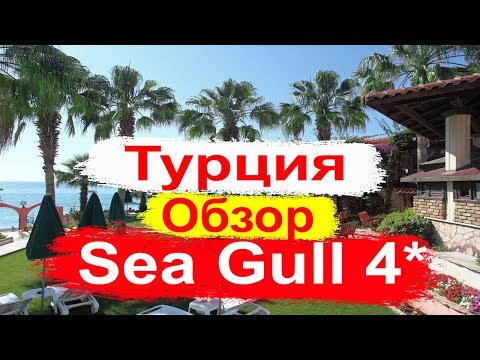 Видео: Отдых в Турции. Sea Gull 4* Обзор отеля