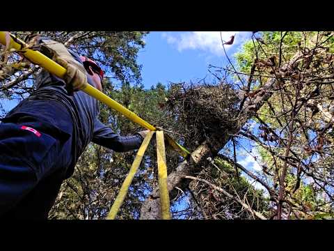 Видео: Линейный монтер, работающий в одиночку