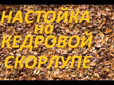 Видео: Настойка на КЕДРОВОЙ скорлупе. Самый лучший рецепт! как зделать настойку на кедровой скорлупе!