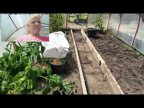 Видео: Не выдержал жары😪 Осиротели)Ремонт продолжается🏡Июль Кубань