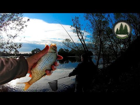 Видео: Удачная рыбалка на Москва-реке в мае. Нижнее течение. Фидер. | Feeder fishing. Roach, bream.