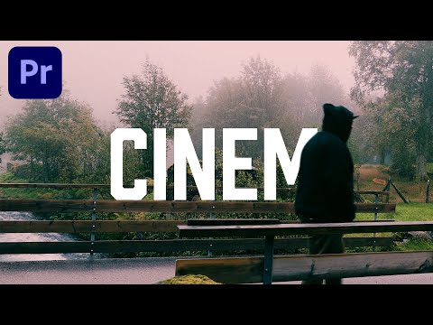 Видео: Эффект показа текста в Premiere Pro