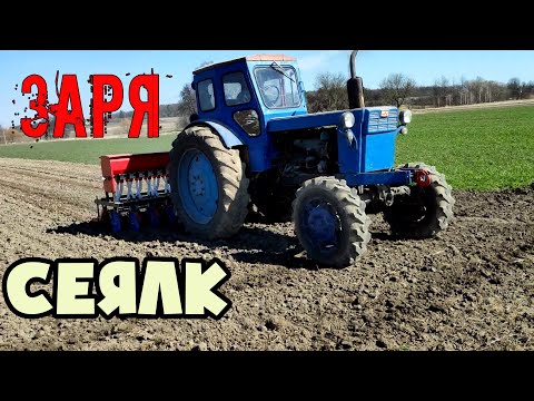 Видео: Тест новой китайской сеялка заря на т-40