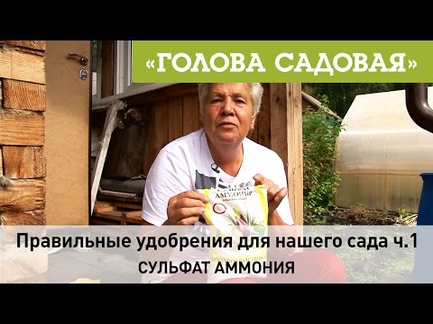 Видео: Голова садовая - Правильные удобрения для нашего сада ч.1 (Сульфат Аммония)