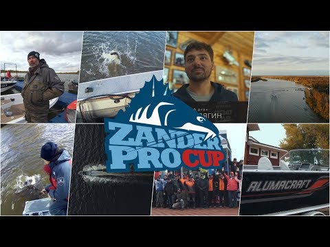 Видео: Итоговый фильм Zander Pro Cup 2017