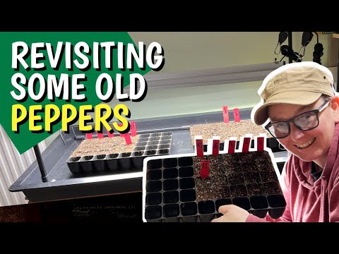 Видео: Настал новый сезон роста, и мне нужно посеять новые семена.