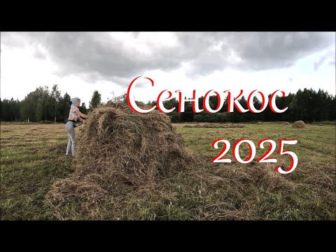 Видео: За грибами в лес. Непростой сенокос. Жизнь на Лесном Хуторе.