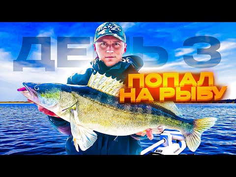 Видео: Да ОТКУДА тут столько рыбы! Думал жерех, а там ОН...Весна. Спиннинг на Волге! Райгород. Часть.3