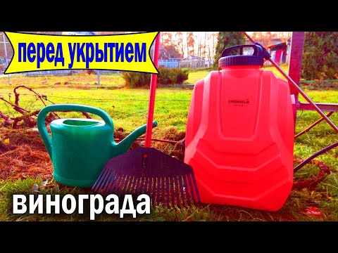 Видео: 🔴🔴Важно перед укрытием. Работы перед укрытием винограда. Обработка винограда перед укрытием на зиму.