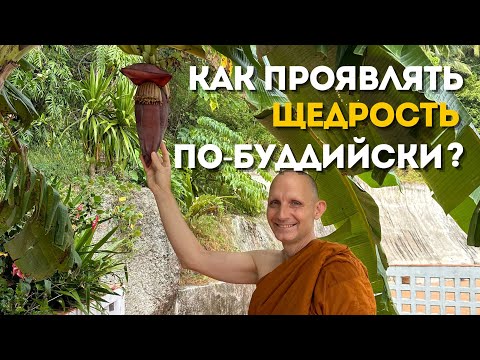 Видео: День 5️⃣ Щедрость — это практика для сердца. Практика с Аджаном Хубертом. 2025.10.16