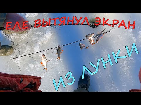 Видео: ЭКРАНЫ СНОВА НЕ ДАВАЛИ НАМ СКУЧАТЬ!!! Наловили КУЧУ РЫБЫ. Рыбачим со льда.