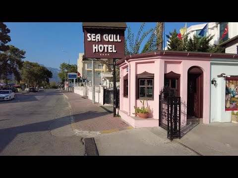 Видео: Seagull Hotel 4*. Обзор территории отеля. Октябрь 2022 год   #Турция #Кемер #бельдиби