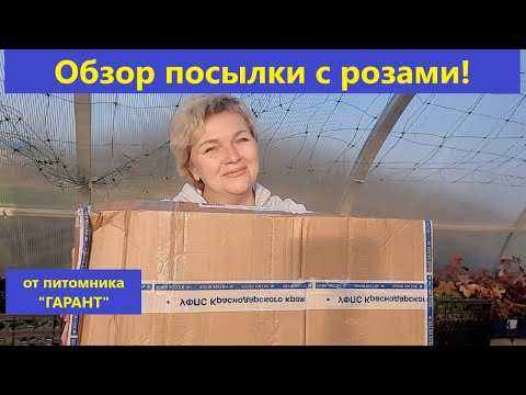 Видео: Весна. Апрель. Обзор посылки с розами от питомника ГАРАНТ