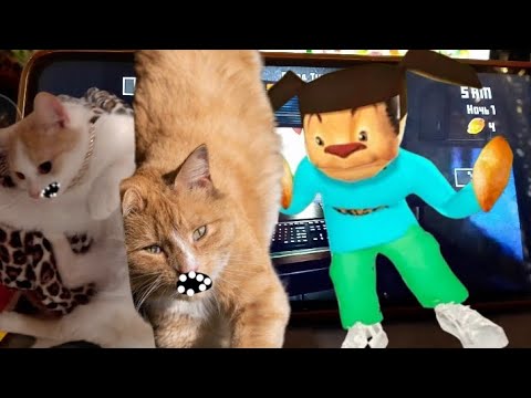 Видео: кошка снежинка гу и Васька играют в игру пять ночей с тимохой #2