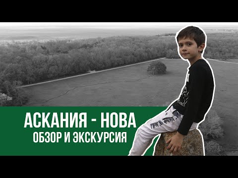 Видео: Аскания-нова. Обзор. Экскурсия. Стоит ли ехать?