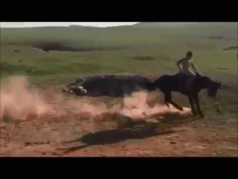 Видео: Шу асауларды үйрету сәті топ -8. Жылқыны жақсы көретін қазақтар көрсін.