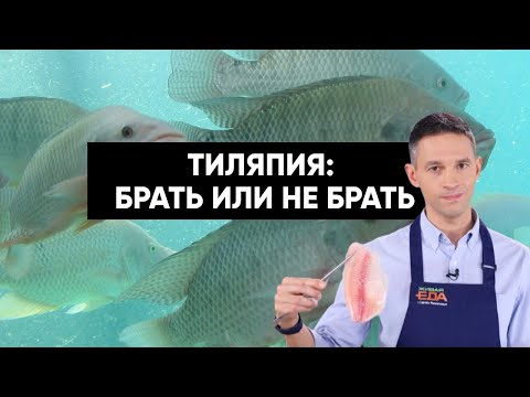 Видео: ТИЛЯПИЯ — БРАТЬ ИЛИ НЕ БРАТЬ?