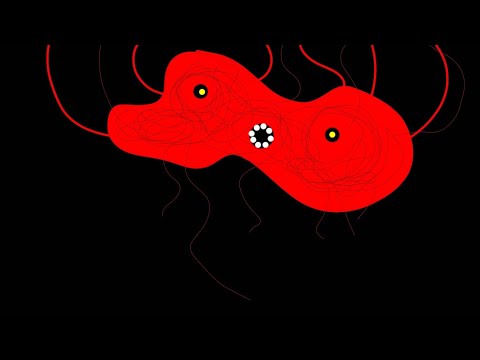 Видео: Полное прохождение Carrion