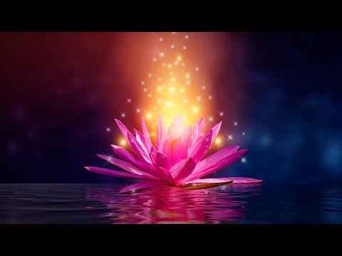 Видео: Манифест Чудес Поднимите вибрацию, поднять частоту счастья, уровень серотонина