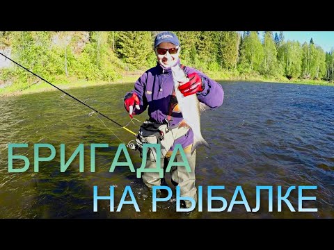 Видео: БРИГАДА НА РЫБАЛКЕ.  Река Чусовая - щуки, голавли, жерех, окуни