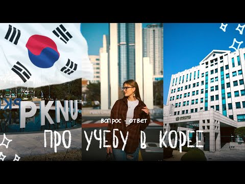 Видео: про учебу в корее! | почему PKNU? #пусан #учебавкорее #корея #pukyong #жизньвкорее