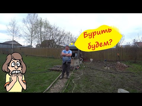 Видео: Абиссинка в СНТ "Холод".