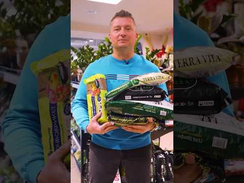 Видео: Какой грунт для рассады не стоит потраченных денег? Тест грунтов, выбираем лучший