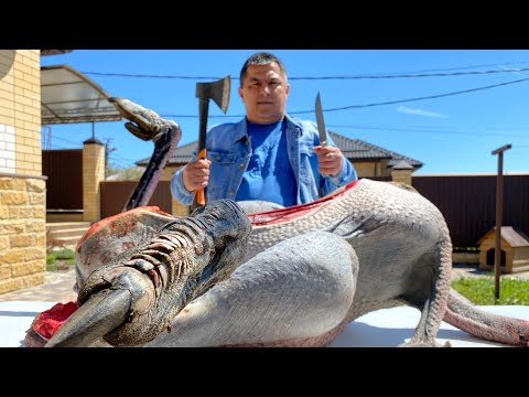 Видео: Готовим Мясо Страуса 125 кг! Шашлык из Страуса / Мясо Страуса В Казане На Костре