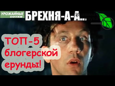 Видео: ТОП-5 БЛОГЕРСКОЙ ГЛУПОСТИ этой осени! Солепоклонники, слизегоны, бродильщики и содоводы!